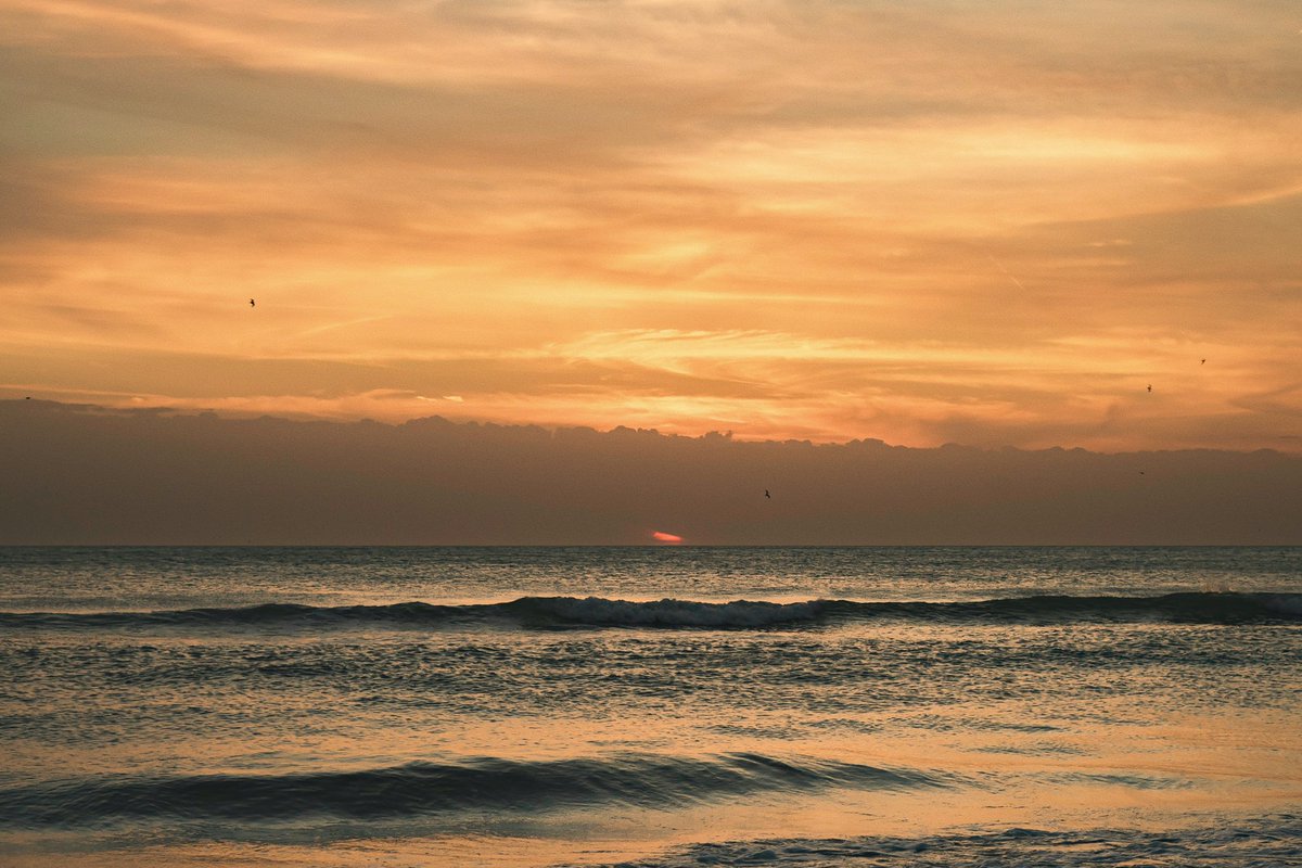 Snapped by Carson tweet media