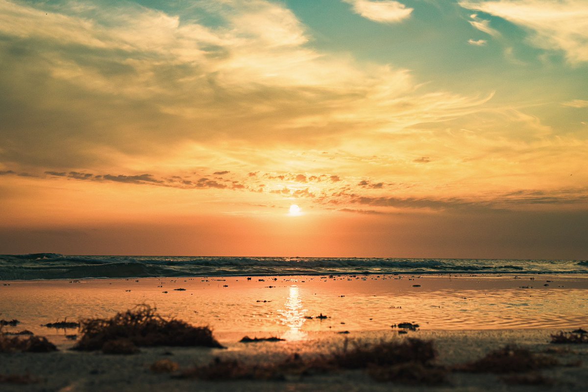 Snapped by Carson tweet media