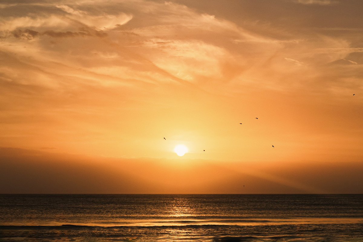 Snapped by Carson tweet media