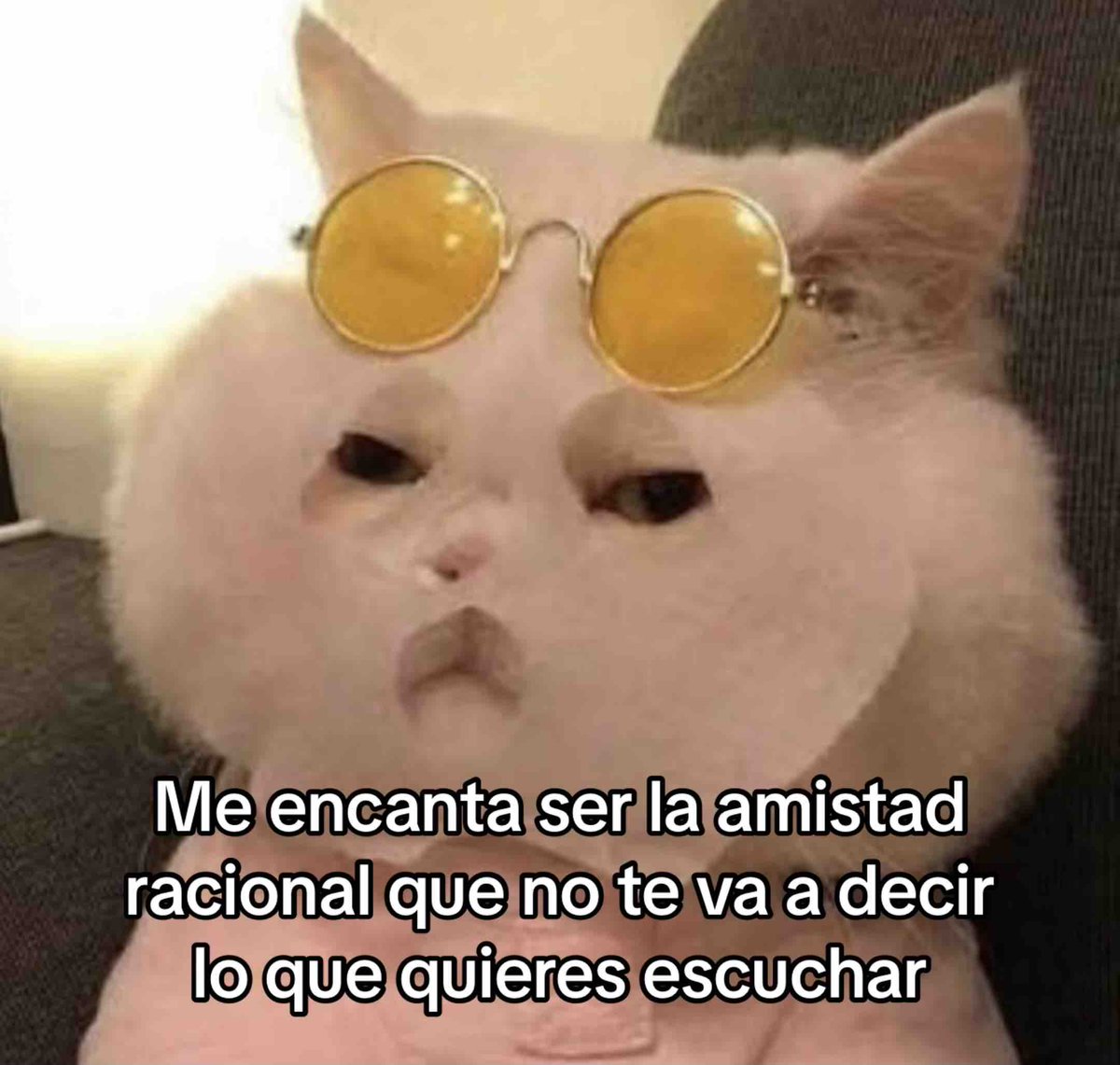 Guarromantico_'s tweet photo. https://t.co/sIoom55xPs