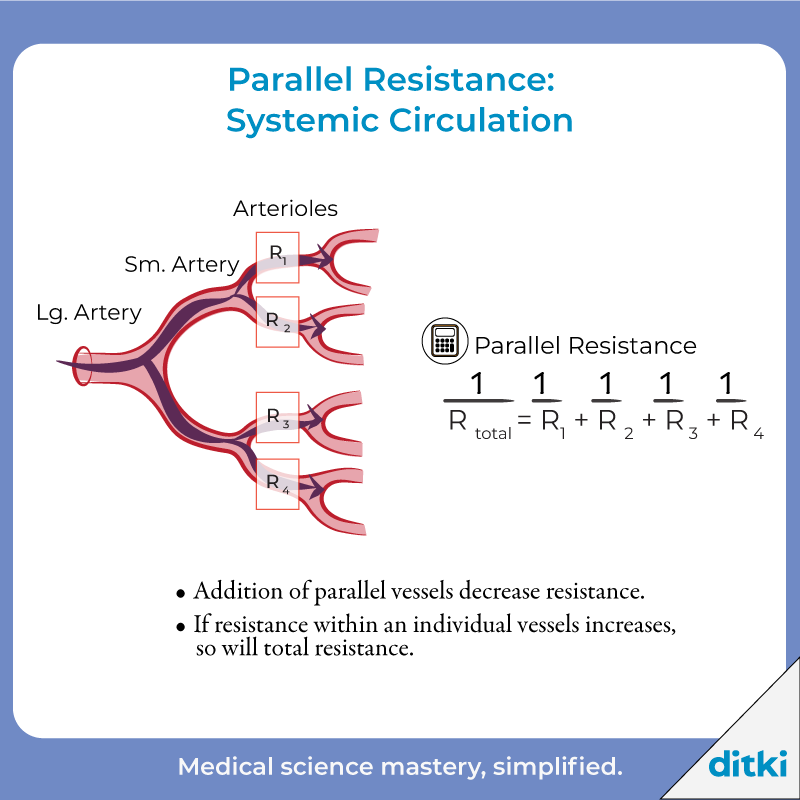 How is parallel resistance different from series resistance? Get answers: l8r.it/9NmX #ditki #usmle #meded #medschool #medstudent #highered #mededonline #nursing #physicianassistant #osteopath #allopath #medicine #science #healthscience #nurse #premed #mcat #mbbs