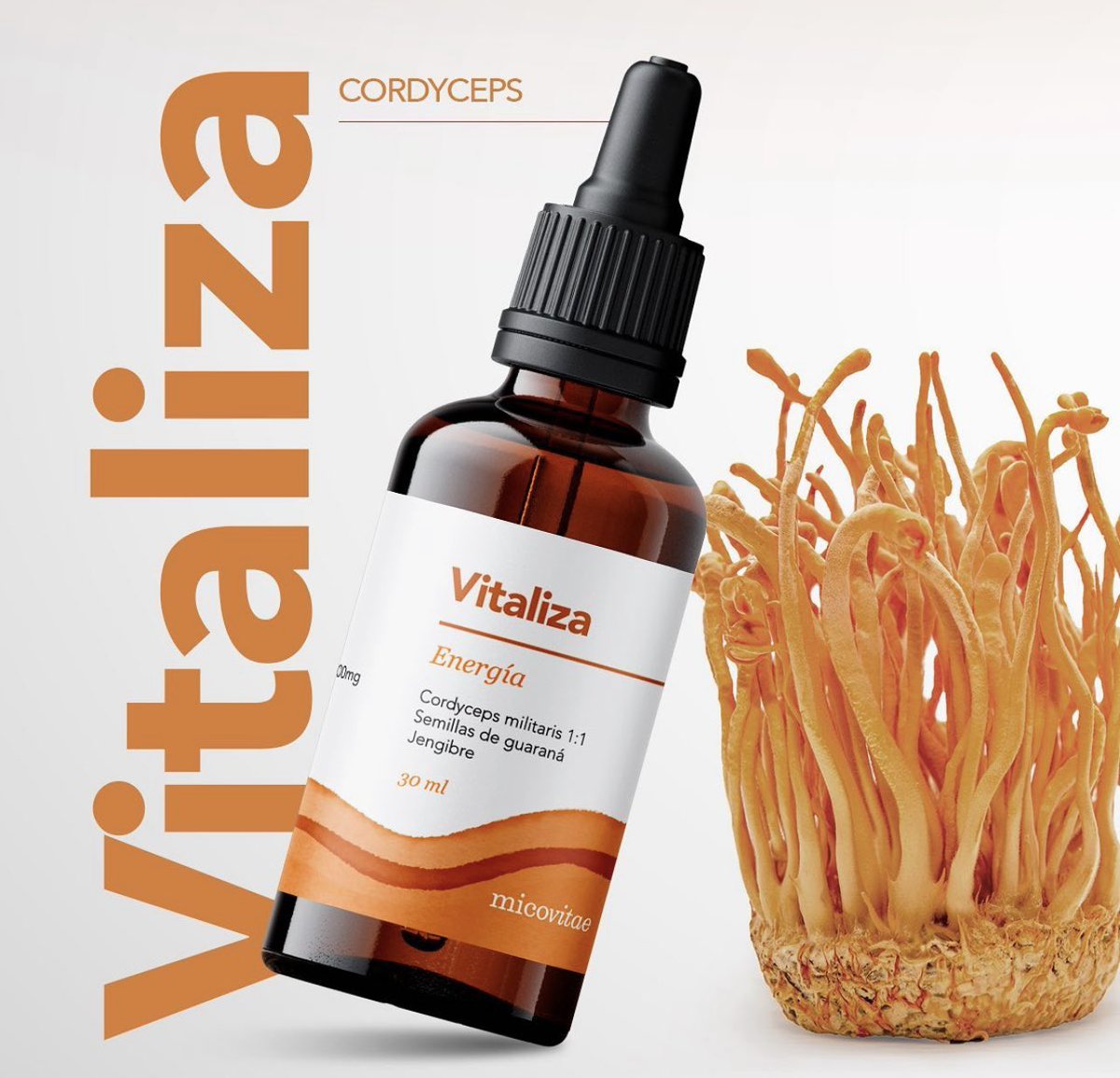 Gallardo tweet media