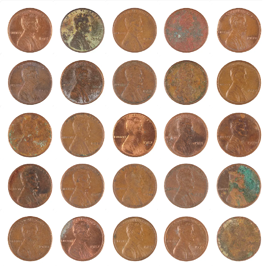 Pindar Van Arman 💎 tweet media