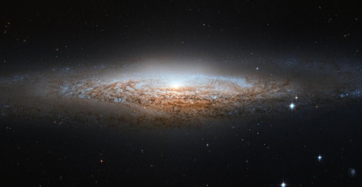 Our state-of-the-art planetarium offers visitors a chance to experience the night sky as they’ve never seen it before. Our shows transport you to distant stars and galaxies, and offer an immersive experience that will leave you in awe. buff.ly/3wPCvCN