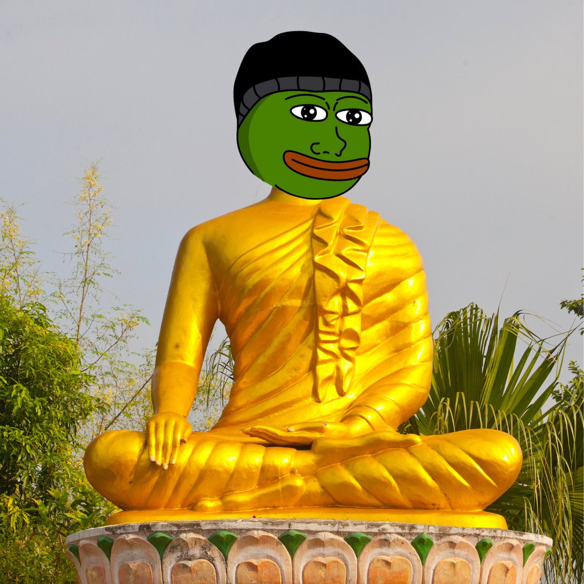 Homie Solana tweet media