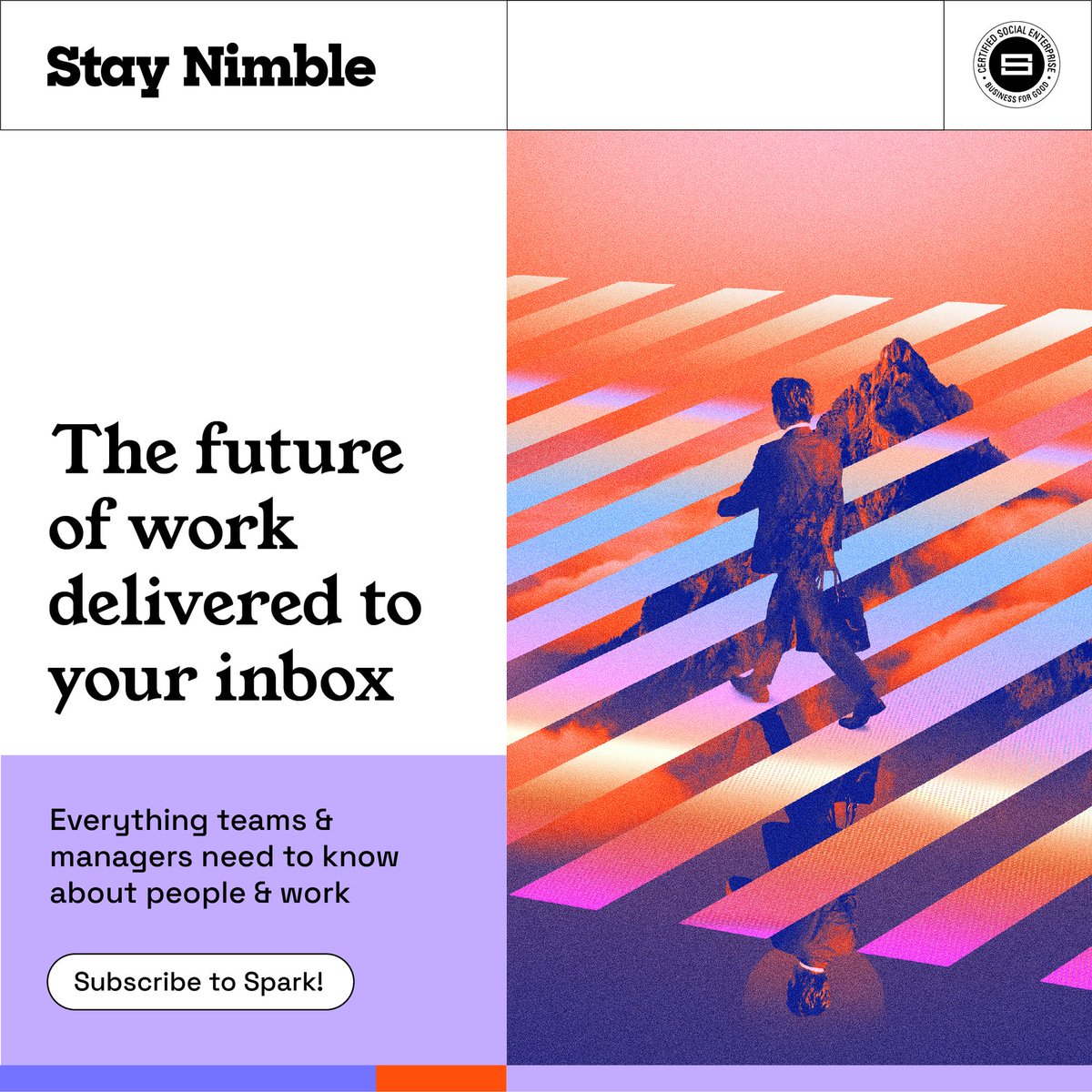 Stay Nimble tweet media