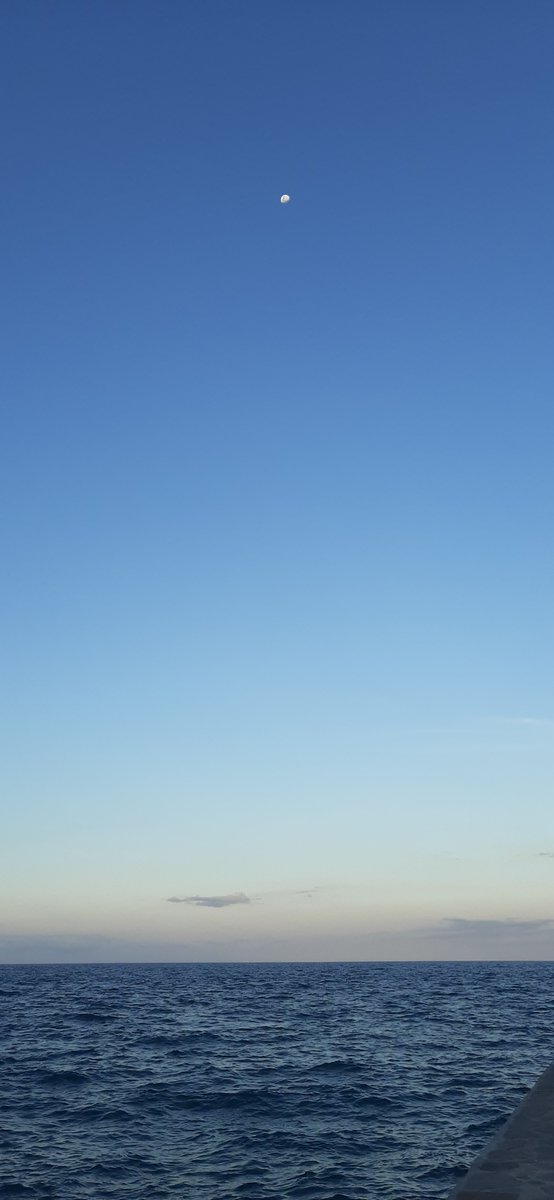 RAISdotra's tweet image. Bheulid'svled oh Bheulid'svled
Vlischs, vlischs Ugun'r'Flan
Liads Ost'ale duvn vhad Fost d'lhed
Vyna Leyd'sdapr aen An

Dajhedina aen Vuprk vedh
r'Hened'Podopri aveipr
somhed'Uszduvipr!