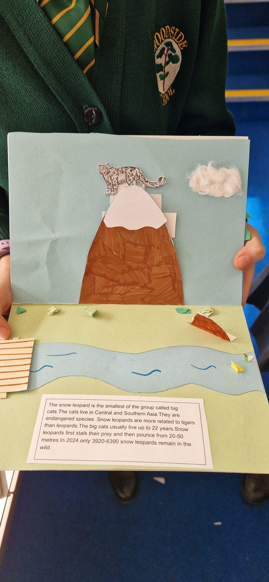 Year 4 are very proud of their books about mountains. We were applying our knowledge of mechanisms to create movement through levers and pop ups! #designtechnology