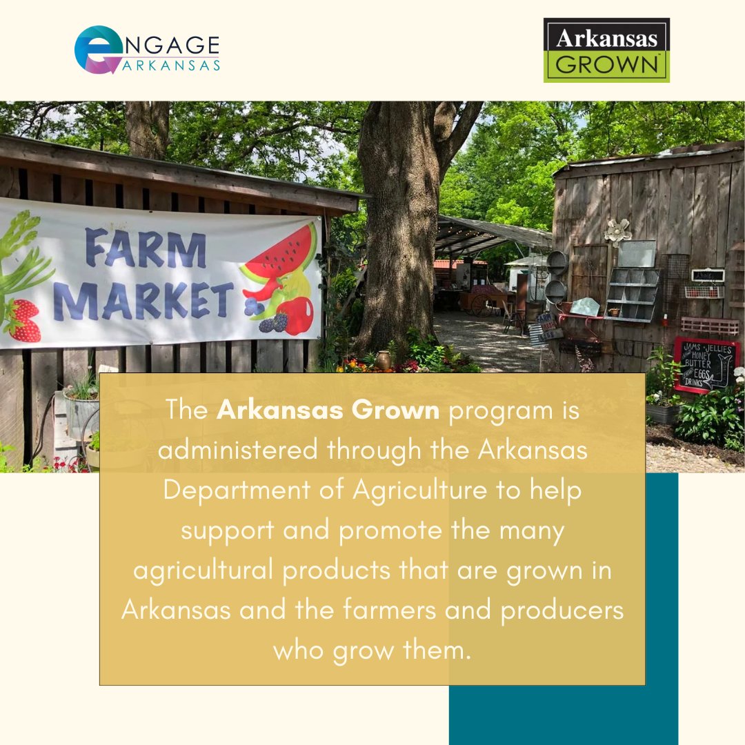 Engage Arkansas tweet media