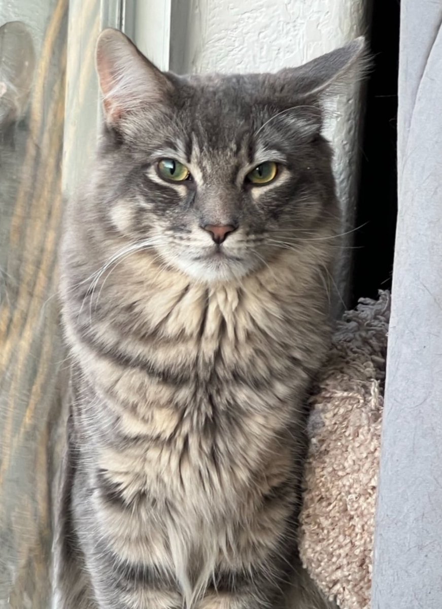 Brenden 🐶 tweet media