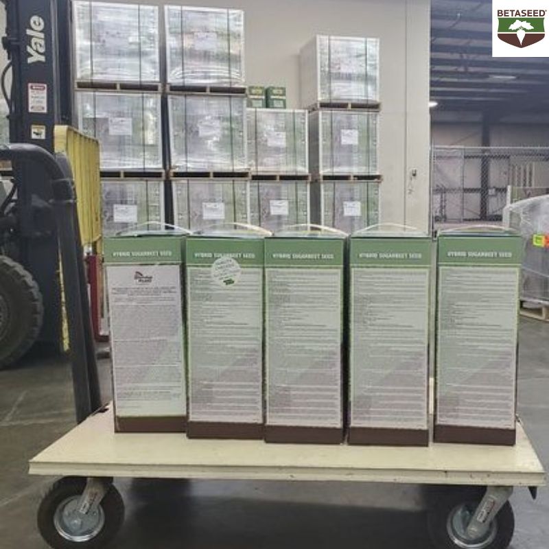 Betaseed1's tweet photo. Seed delivery is an exciting time for all regions. First delivery is ready to go in our Western Sugar South market.​ 🌱

​ #SeedDelivery #Planting24 #Agriculture #Betaseed #Sugarbeet https://t.co/xF8gJE0ruq