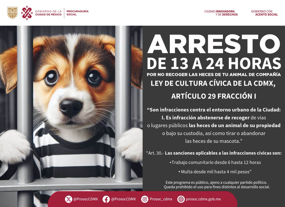 ProsocCDMX's tweet photo. ¡Evita ser arrestado por hasta 24 hrs! 
Lo único que tienes que hacer es levantar las heces de tu lomito cada que salgan a pasear. https://t.co/e4cKyhYBZA