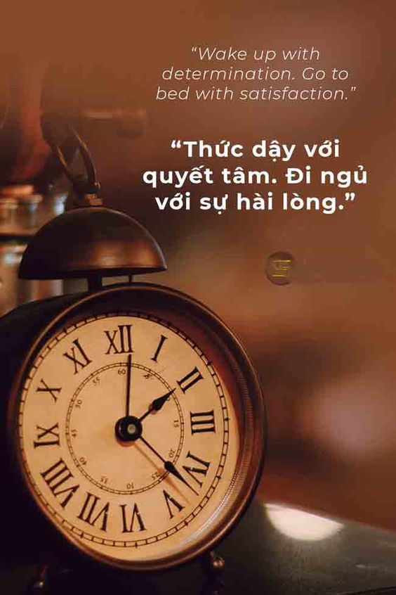 Lê Thành Đạt tweet media