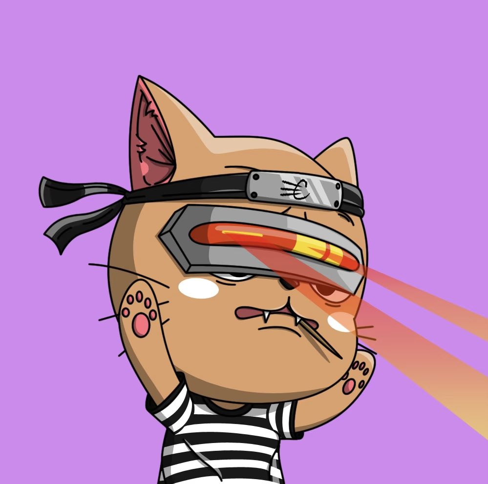 Catnopia tweet media