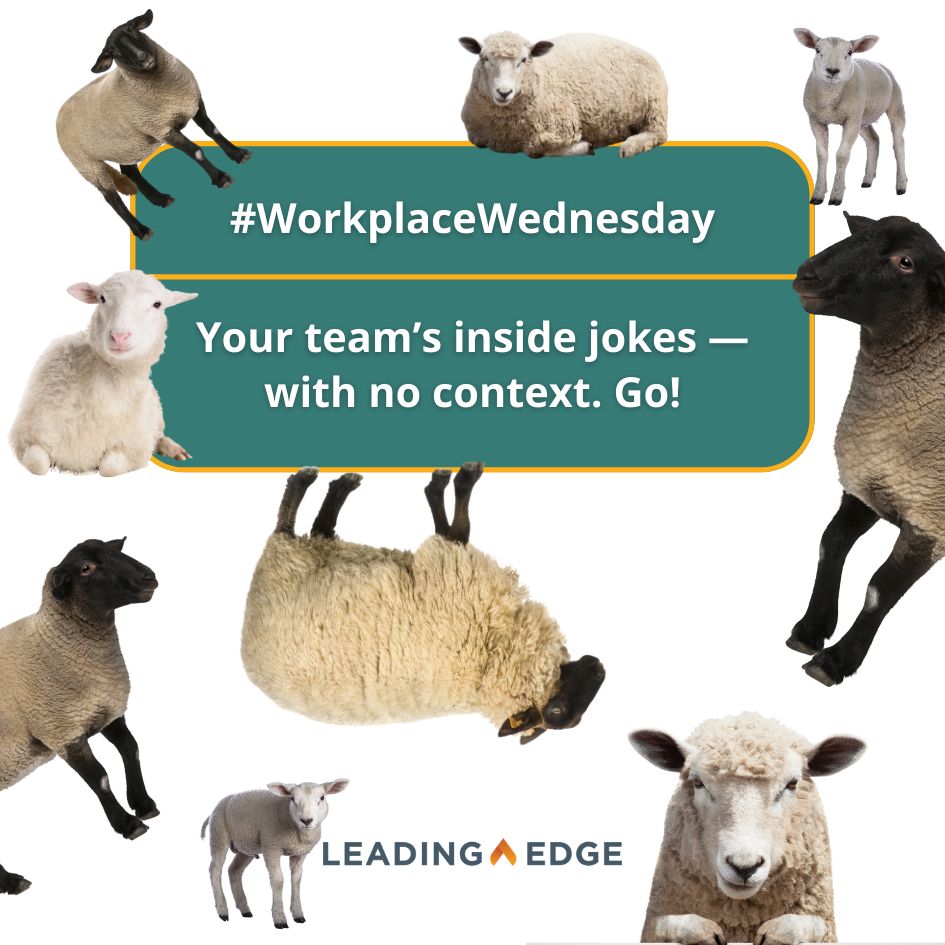 Usually, the best work jokes are inside jokes. So we won't try to explain why Scottish sheep have been a running joke on the Leading Edge (Bleating Edge) team for several years. Reply/comment with your team's inside jokes — with no context 😉 

#WorkplaceWednesday #AprilFools