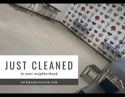 ambieclean's tweet photo. #ambieclean #clean #Turnoverclean #pnw #seattle #kent #Desmoines #puyallup #federalway #tacoma #commonareaclean #clean4u #Apartmentclean #Remodelclean #Auburn #Renton #Bonneylake #Milton #silverdale #Bremerton #portorchard https://t.co/Lq2XYZ3mTL