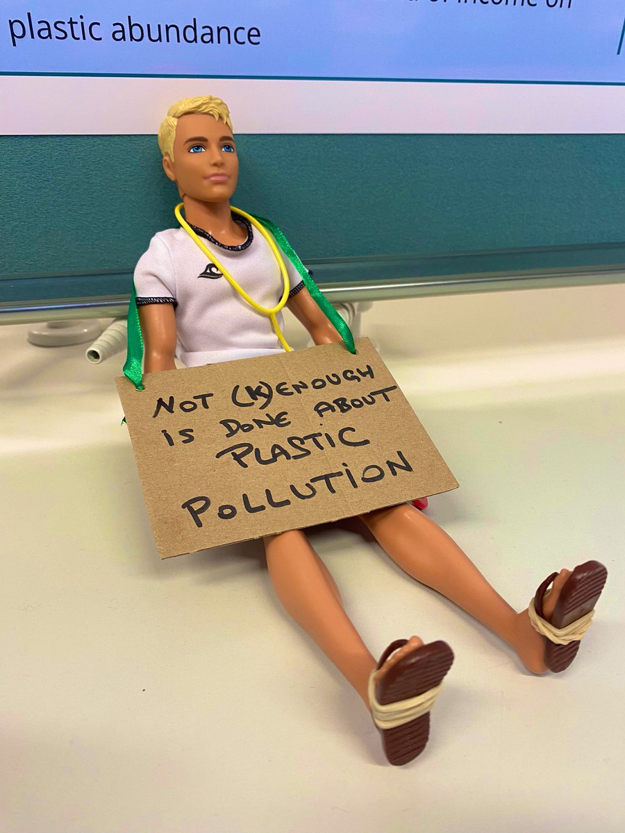 SCCSconf's tweet photo. Are we doing enough about plastic pollution in mangroves? Marie Touchon from @BangorUni and Ken think not. Life in plastic is not fantastic! #ken #barbie #plasticpollution #mangroves https://t.co/UVsFh42Gcn