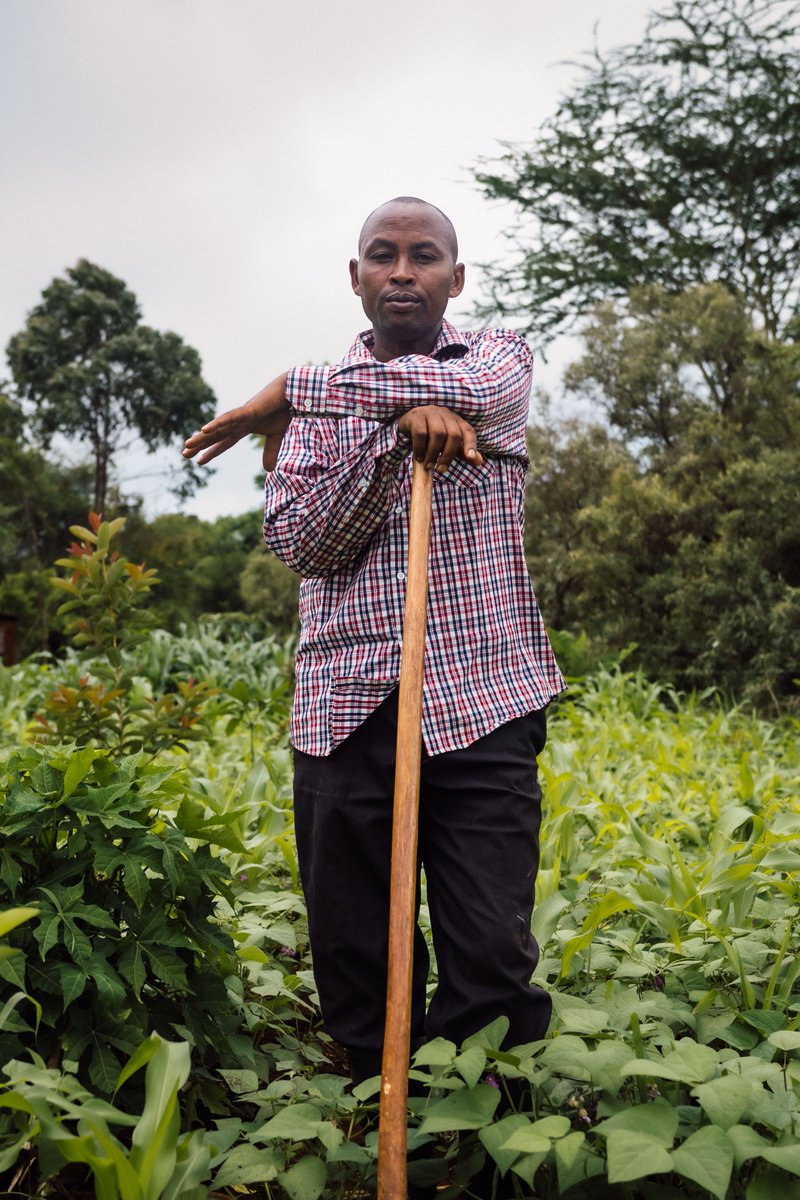 biovision_org's tweet photo. From conventional to #agroecology, Florian Gitu Kwaslema's farm transformation is a beacon for #SustainableFarming in 🇹🇿, thanks to a unique radio programme. Interactive &amp; empowering, it’s changing agriculture. Learn more (in GE): https://t.co/a0jxnRfVba
#FoodSystemTransformation https://t.co/tTMtX4iLsg