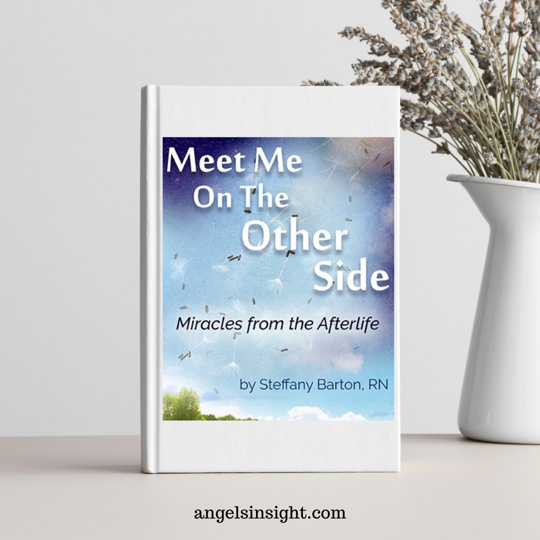 AngelsInSight's tweet photo. Looking for an inspirational book to read this month?

“Meet Me on the Other Side” tells the true story of Steffany Barton, RN, a mom and mystic, quietly tucked into the conservative Midwest contacted by a spirit in need.

Get your copy at: https://t.co/V5FVv1cLYD https://t.co/MRCrl6t6Xt