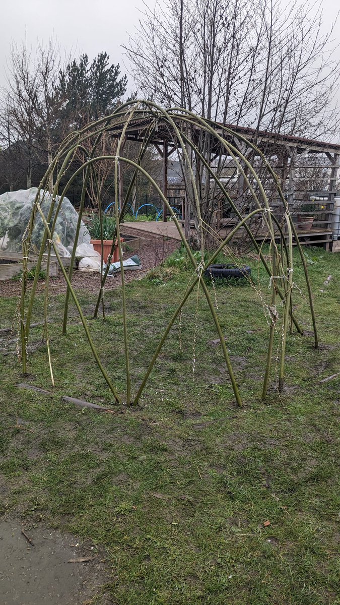 farm_leader's tweet photo. Great teamwork and knot tying from our school farmers building a new willow shelter for quiet farm moments. The willow trimmings made beautiful decorations to celebrate the arrival of spring. #ostara #clocksforward @CanalViewPSEdin https://t.co/XawNdemuu9