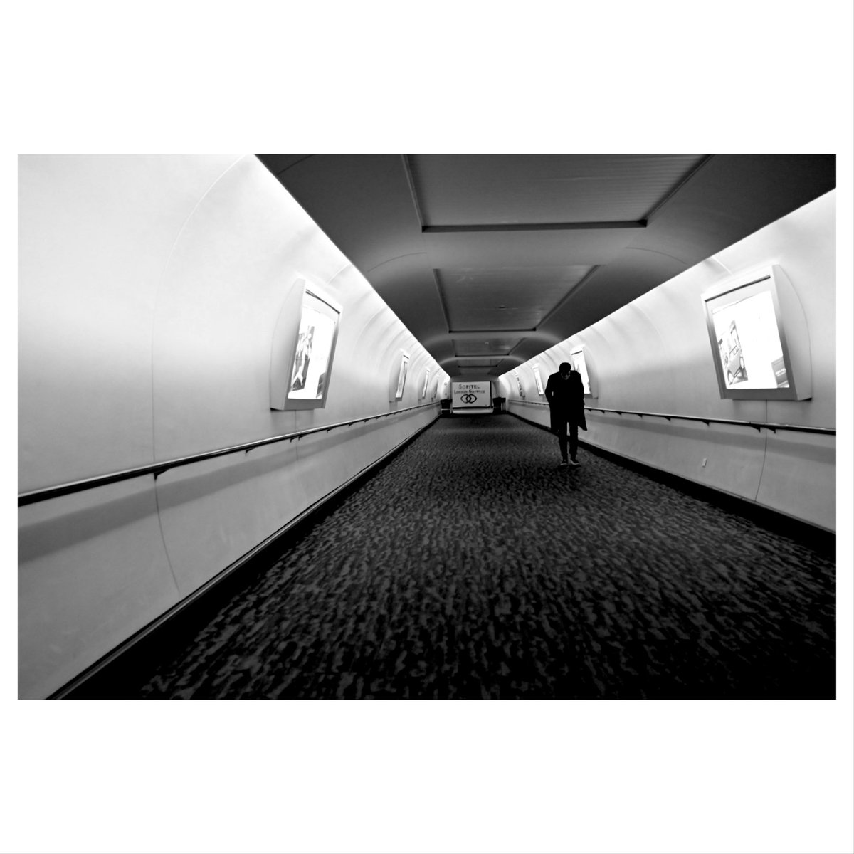 Trevor Wisker tweet media