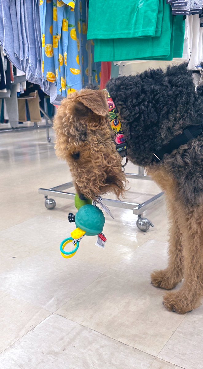 QueenQuinnAire's tweet photo. I went shopping for Easter and mom had to get a baby gift. I picked this and wanted it so bad. I thought it was MY isle, but it wasnโt. It was a toy isle for babies. You learn something new everyday. #wednesdaythought #queenquinnairedale https://t.co/V3443nPwul