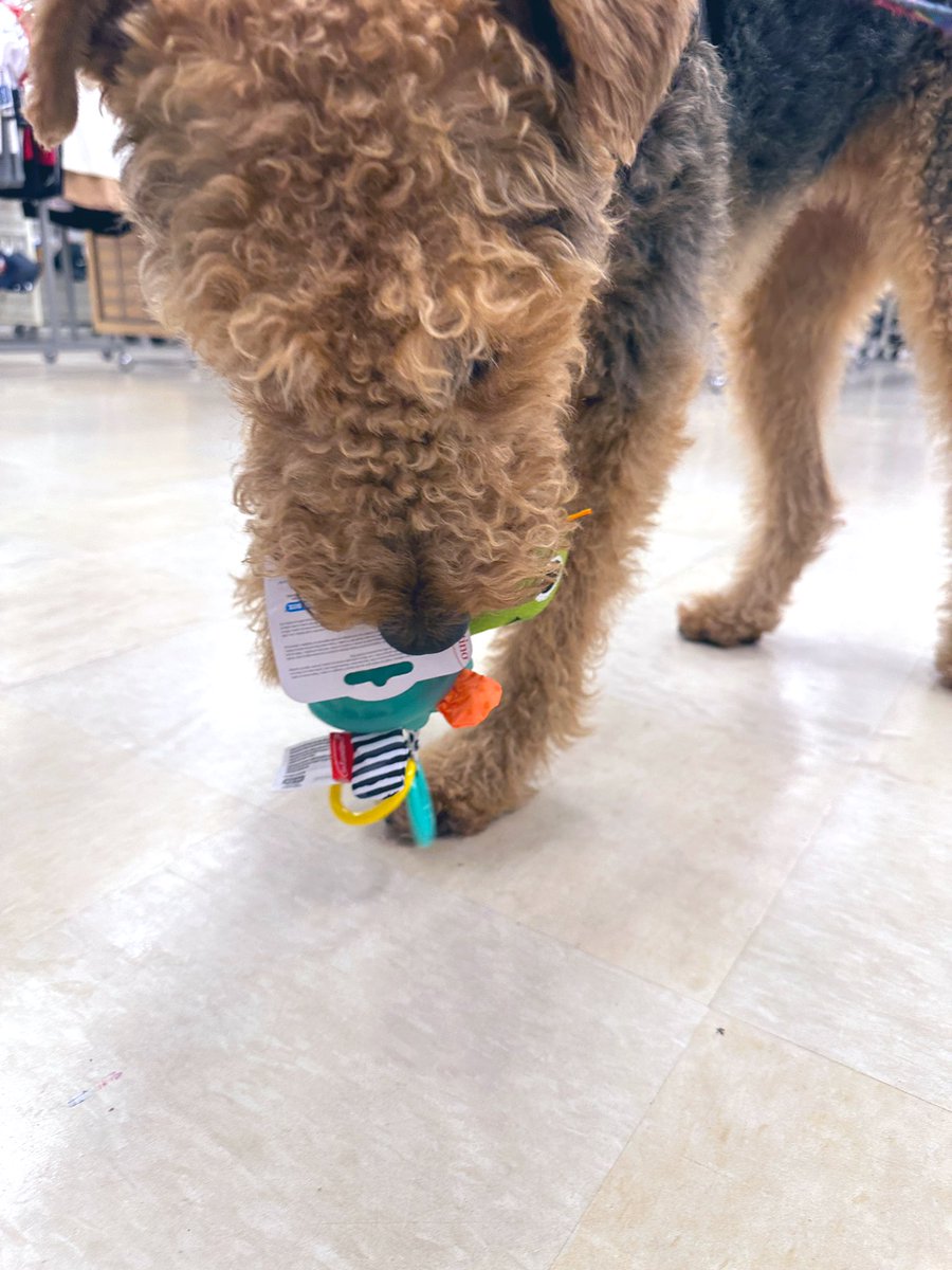 QueenQuinnAire's tweet photo. I went shopping for Easter and mom had to get a baby gift. I picked this and wanted it so bad. I thought it was MY isle, but it wasnโt. It was a toy isle for babies. You learn something new everyday. #wednesdaythought #queenquinnairedale https://t.co/V3443nPwul