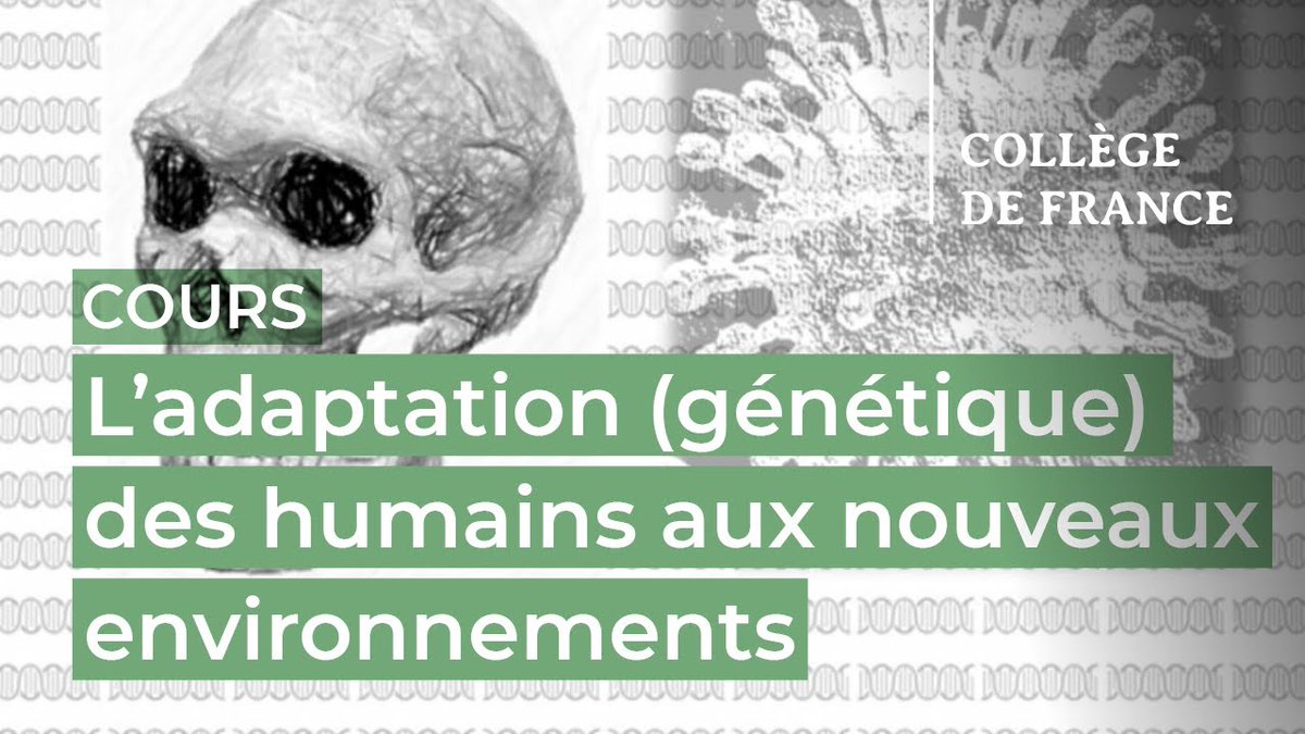 cdf1530's tweet photo. #Science #Biologie
"L’adaptation (#génétique) des humains aux nouveaux environnements"
🖥️ Le cours du Pr Lluis @QuintanaMurci, titulaire de la chaire Génomique humaine et évolution, est terminé... mais toutes les vidéos sont à (re)voir sur notre site web !
👉 https://t.co/00WKgUyO3r