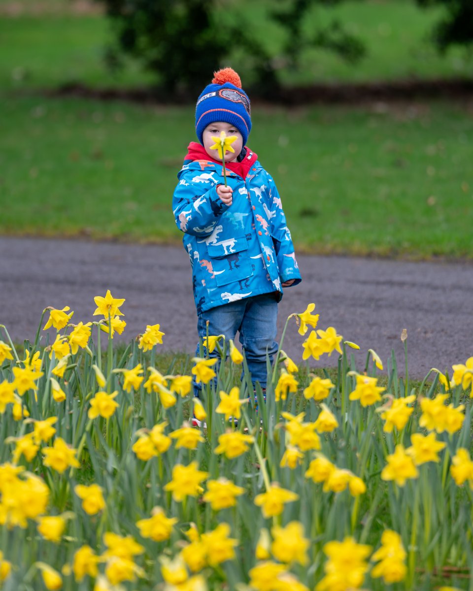 NTmountstewart's tweet photo. Don't let the rain get in the way of a good time!
Grab the wellies and plan your cracking Easter here https://t.co/FGt9yeW6Nv
#Easter #eastertrail #discoverni #tourismni #VisitAND #countydownireland #visitbelfast https://t.co/uxLwbh6H0u