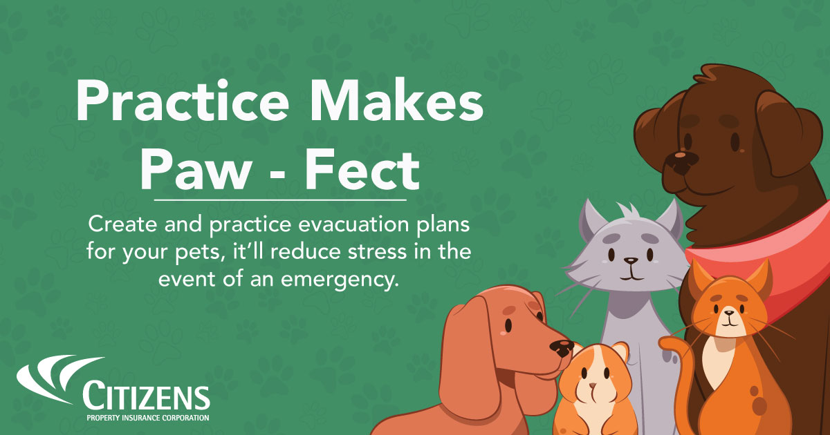citizens_fla's tweet photo. Pets are family. Here are 3 ways to #PetPrep for an #emergency:
🤳 Take a selfie with your pet(s) to help with reunification
👩‍💻 Update your pet's microchip info
🏨 Find a pet-friendly place to take your pet(s) in an evacuation
More info: https://t.co/XjTJpkzorc #BeReady https://t.co/OUPczVGGIS