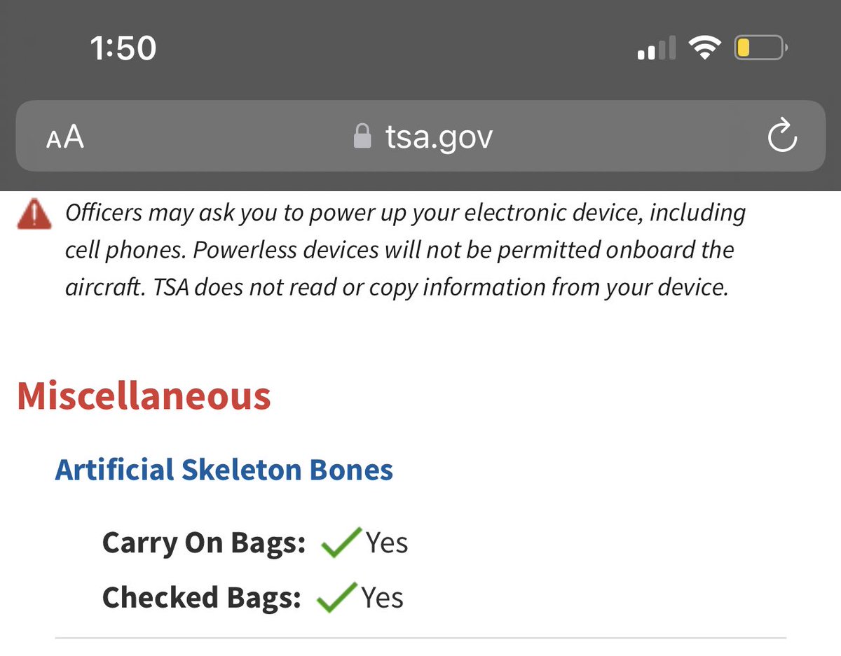 Thank GOODNESS I can take my artificial skeleton bones in my carryon, I was worried I’d have to fit them into my checked bag