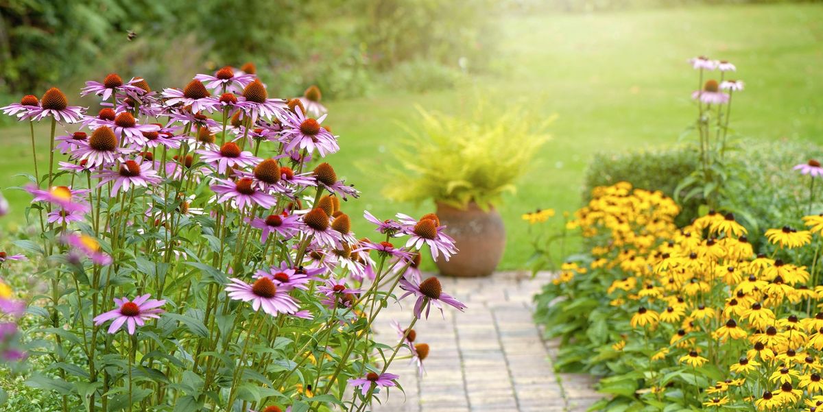 M&N Horticulture (@mn_horticulture) on Twitter photo 27 Perennial #Flowers and #Plants to Keep Your #Garden Beautiful countryliving.com/gardening/gard… via <a href="/CountryLiving/">Country Living</a> 27 Perennial #Flowers and #Plants to Keep Your #Garden Beautiful countryliving.com/gardening/gard… via <a href="/CountryLiving/">Country Living</a>