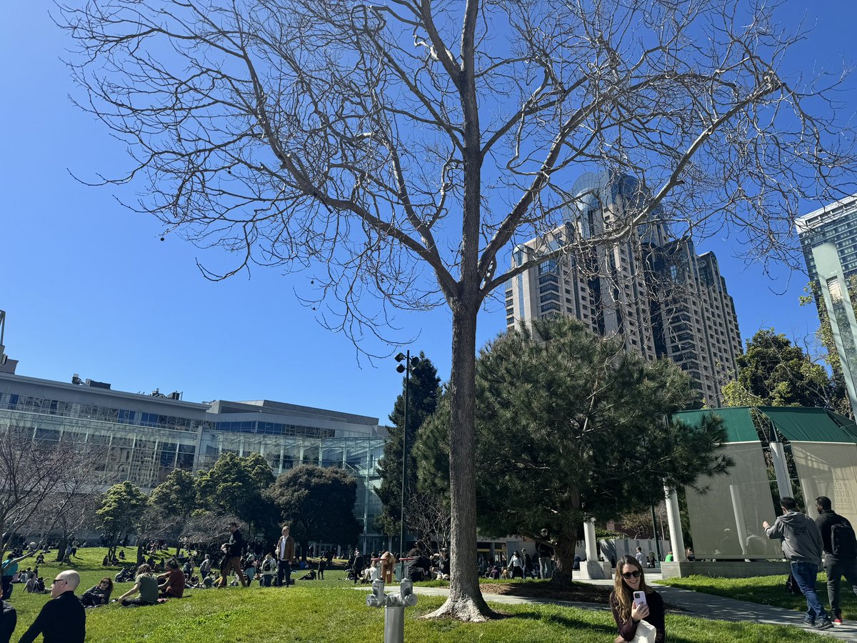 Today we are writing up some of our reflections on our time at @Official_GDC. Anything you’d like to know about our work there last week? Were you there? I’m missing that sunny green full of game industry friends while typing away on the rainy east coast today! #GDC2024