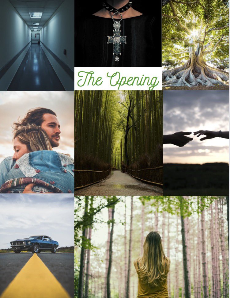 SRaeEvans's tweet photo. FIREBIRD x PARALLEL
Dani's mother is sick and her father absent, but she discovers a parallel world that promises a cure and a chance at love. While over there Dani learns the shocking identity of her father and learns that real love requires sacrifice #YA #SFF #IWSGPit https://t.co/8Z5dqj8pHF
