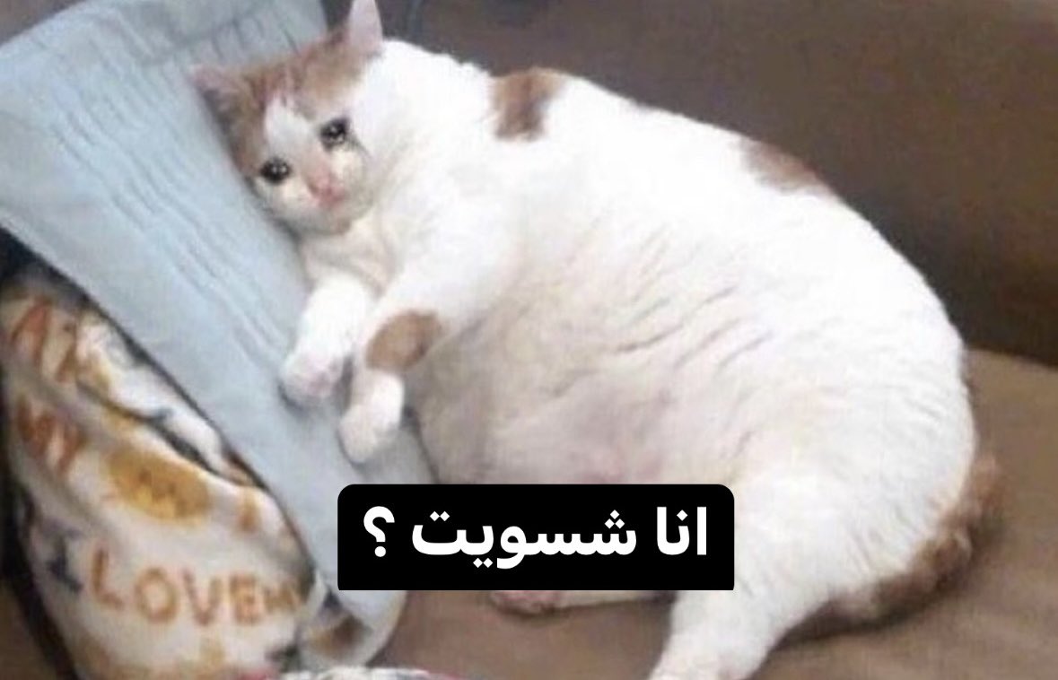 FreshoPrince's tweet photo. ١ رمضان                                       ١٧ رمضان https://t.co/8DirSKx5DS