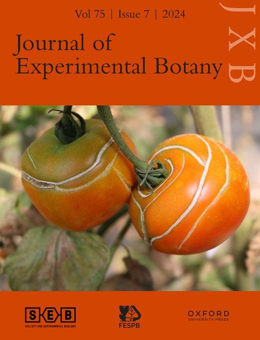 JXBot's tweet photo. JXB's most recent release is here! Dive into our EIC's editorial titled 'The Next Generation', along with insight articles on #Aureochromes, NACs in #cuticle development, and CUC #genes in sex determination.
https://t.co/AGhPbanaJJ https://t.co/oxqgwLAluH