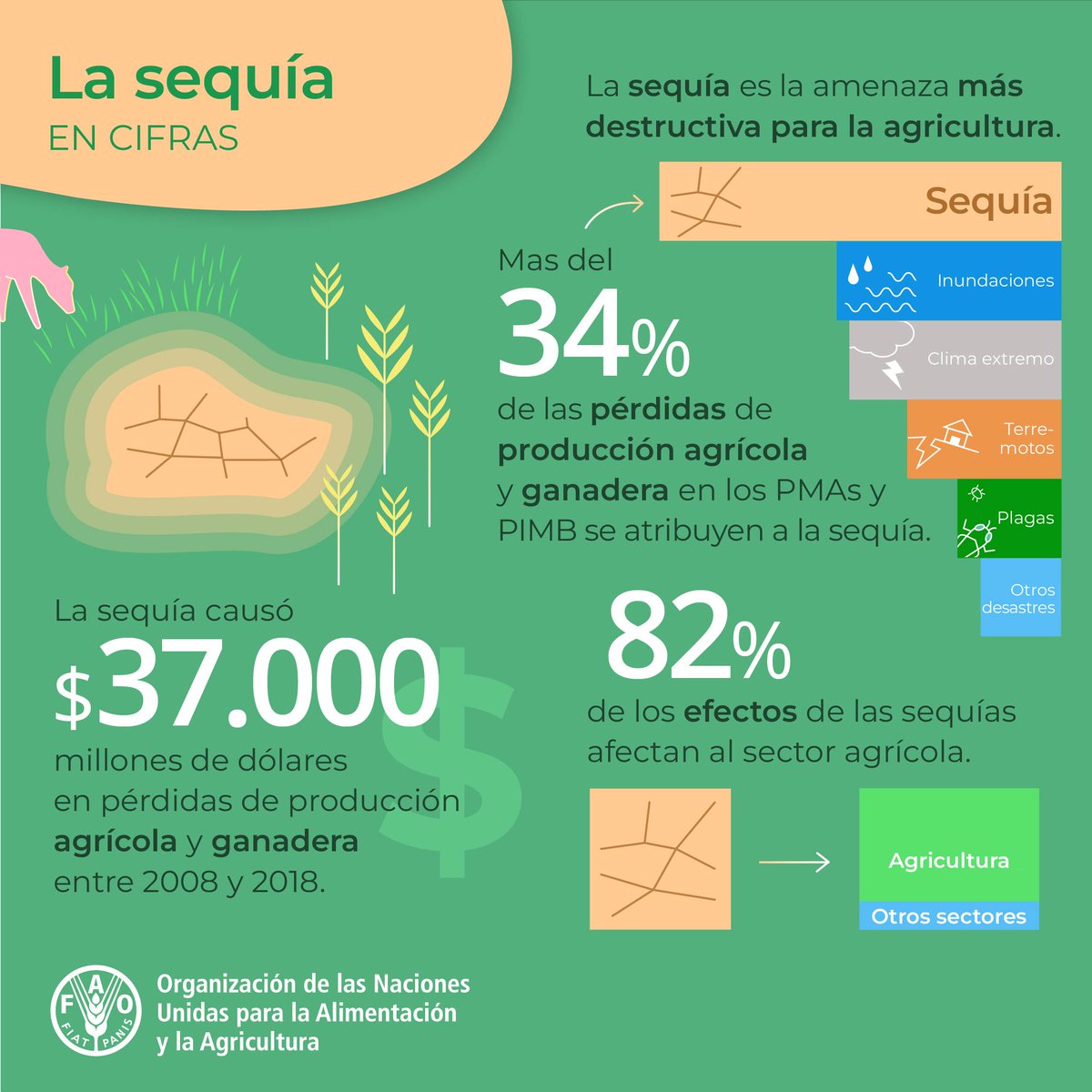 La sequía es la amenaza más destructiva para la agricultura.

En los países menos adelantados (PMA) y en los de ingresos bajos y medios (PIMB), la sequía sigue siendo la principal causa de pérdida de la producción agrícola.

#AcciónPorElAgua