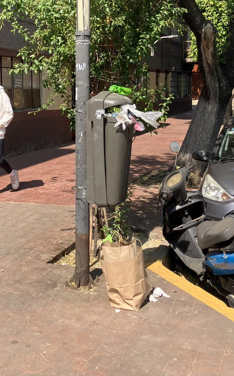 Nicita1959's tweet photo. Las calles de la Escandón llenas de basura… y de heces también @AlcaldiaMHmx @OlaMHmx @mauriciotabe @STaboadaMx @SOBSECDMX @martibatres 
Ccp @Yaraph @ColoniaEscandon @jet1403 https://t.co/Peto9jr73t