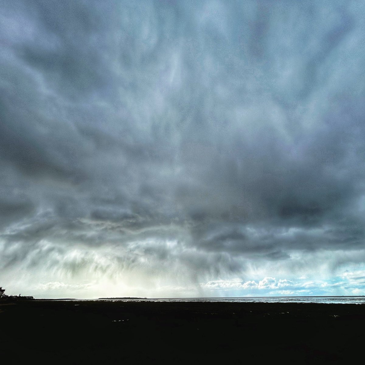 SaraPorterPhoto's tweet photo. It was rainy out… https://t.co/oVnfF59K44