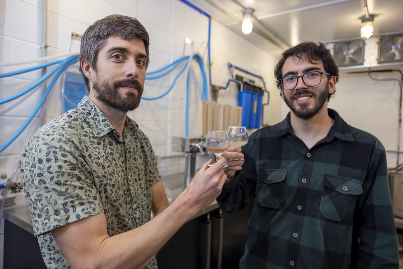 AR_Extension's tweet photo. A recent study from an @AgInArk grad student examines the potential for malted #rice to play a larger role in the #beermaking process, replacing barley &amp; other raw materials in short supply due to climate change and international conflicts. Learn more at https://t.co/DeE46cBYkm. https://t.co/kGB7Sz9lR7