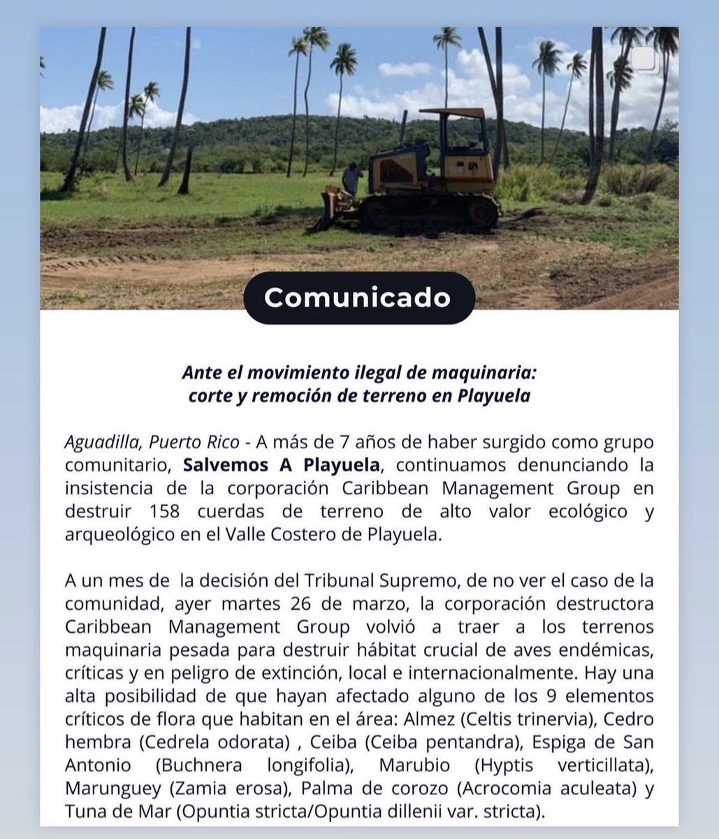 TatianaPerezRa's tweet photo. #playuela https://t.co/a6SfKmy8aT