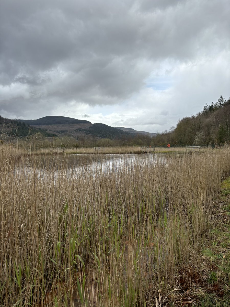 Great to see treatment sites protecting the Neath river in my last week as @CoalAuthority NED
