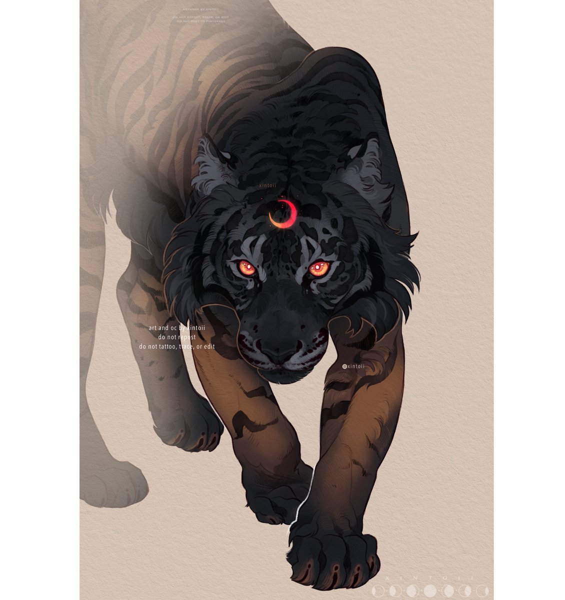🌑 black tiger 🌑 
—
(my oc Lunari)