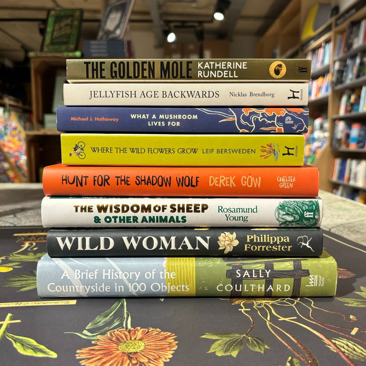 Spring is a reminder of the wonders of our Planet, and to help you get in the Spring mood, here's a brilliant stack of books that will tickle your curiosity for the natural world 🍃 @nbrendborg @LeifBersweden @gow_derek @philippaforrest @SallyCoulthard