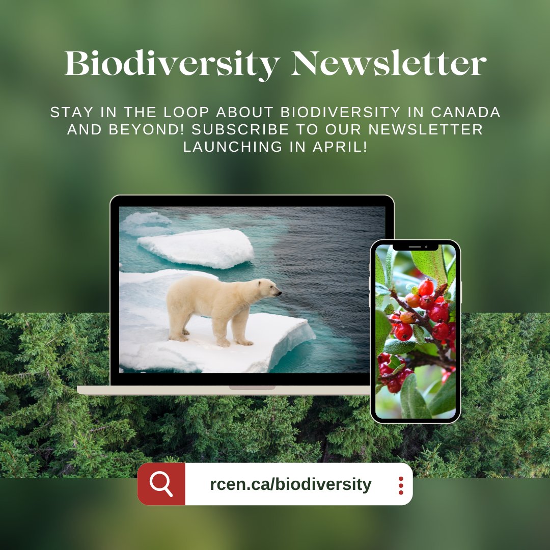 Exciting news! The Biodiversity Caucus is set to launch a newsletter in April 🌿🦋 Don't miss out! Subscribe today to be among the first to receive our collection of updates and insights on biodiversity issues and solutions within Canada and beyond. 🔗 rcen.ca/biodiversity