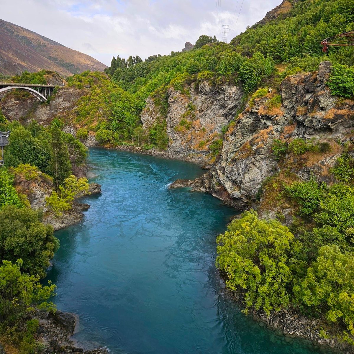 RedCarpetTourNZ's tweet photo. A perfect place to bungy jump on tour! Over the beautiful river Anduin 🤙
#redcarpettoursnz #lordoftherings #lordoftheringstours #lordoftheringslocations #middleearth #lotr #tolkien #middleearthtours #riveranduin #bungyjump https://t.co/g24pcpym6I