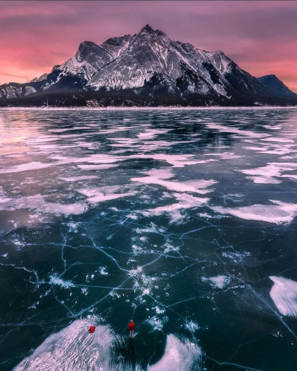 Dan the Man tweet media