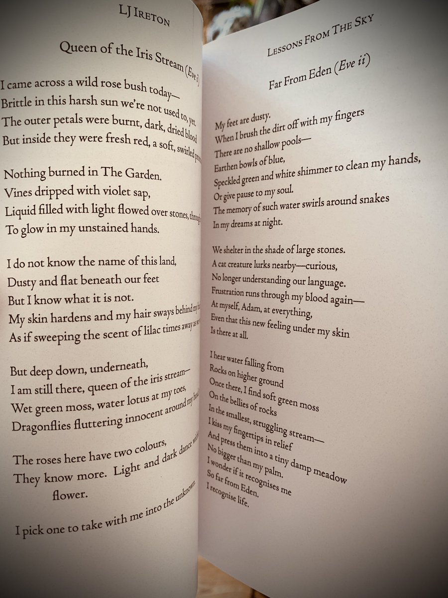 I’d you’re looking to read some beautiful, soul-warming, inspiring poetry, then look no further. I feel so lucky to have had the opportunity to read @LiteraryVegan’s stunning words & provide a quote. Thank you to LJ for allowing me to step into your wonderful world of words 💜