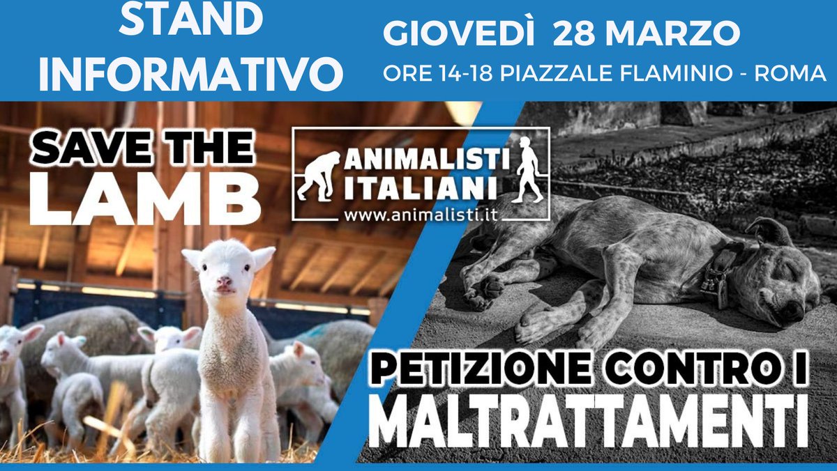 Animalistiitaly's tweet photo. Vuoi fare la differenza per gli animali? Unisciti al nostro stand informativo per la Campagna #SAVETHELAMB!Giovedì 28 Marzo, ore14/18, Piazzale Flaminio (lato linea tram) - ROMA. Potrai anche firmare la #petizione contro i maltrattamenti degli animali✍ https://t.co/iqZoE2T3id