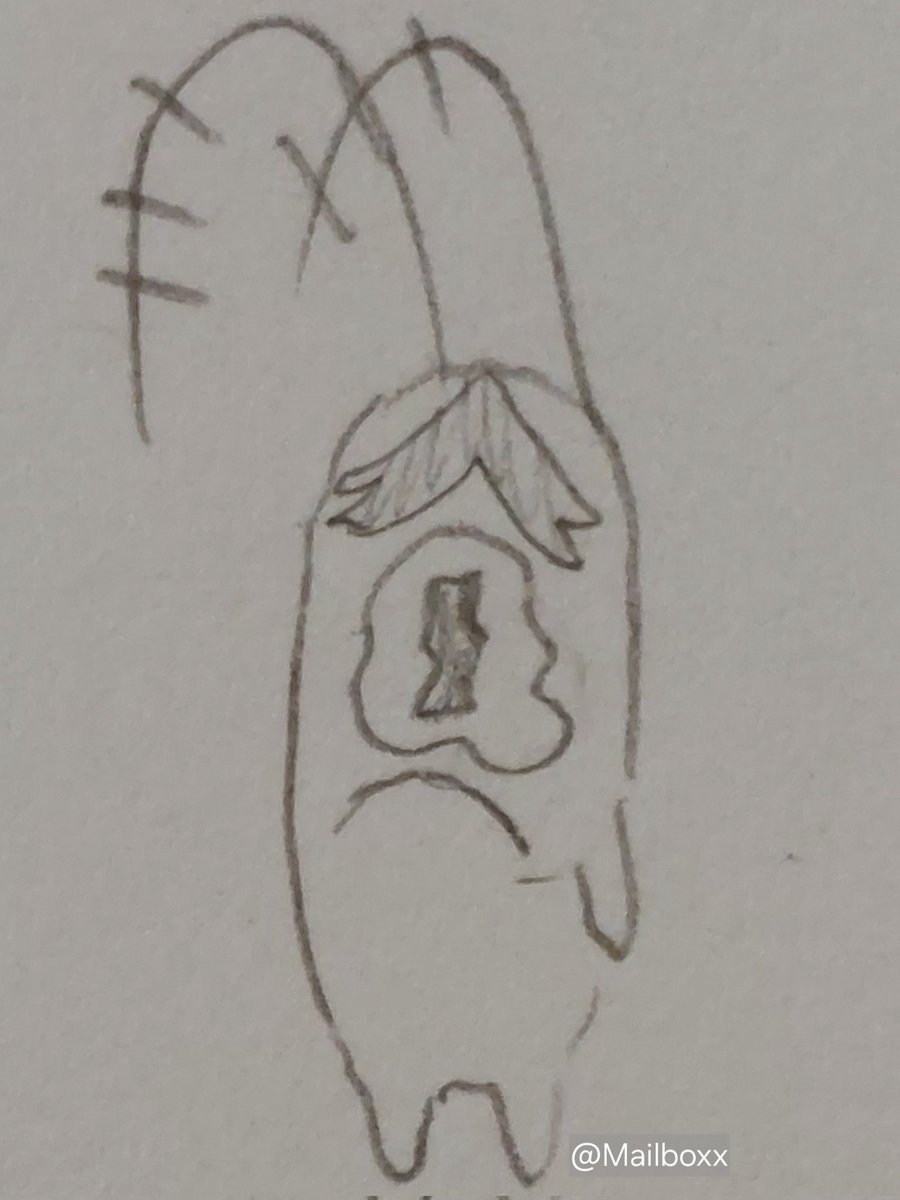 Hoopboxx's tweet photo. and more #spongebob #doodles of plankton https://t.co/nc9uE7qD53